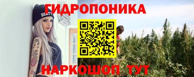 индика Комсомольск-на-Амуре