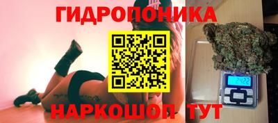 индика Комсомольск-на-Амуре