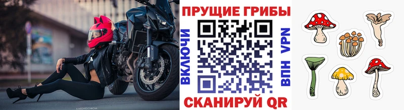 хочу мега как войти Псилоцибиновые грибы мицелий Родники