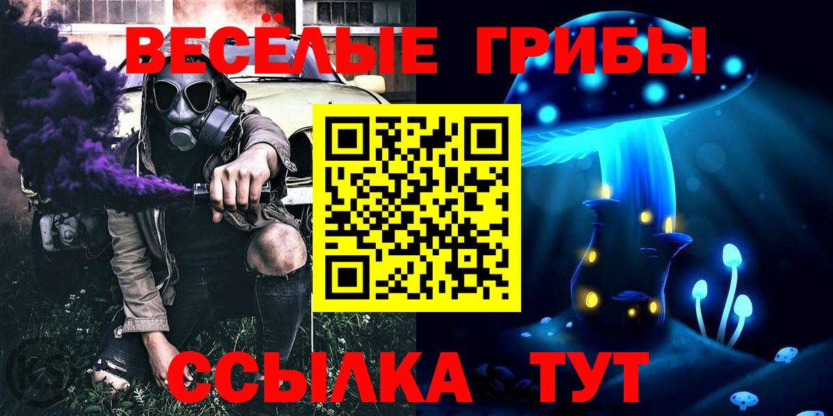Псилоцибиновые грибы мицелий Родники